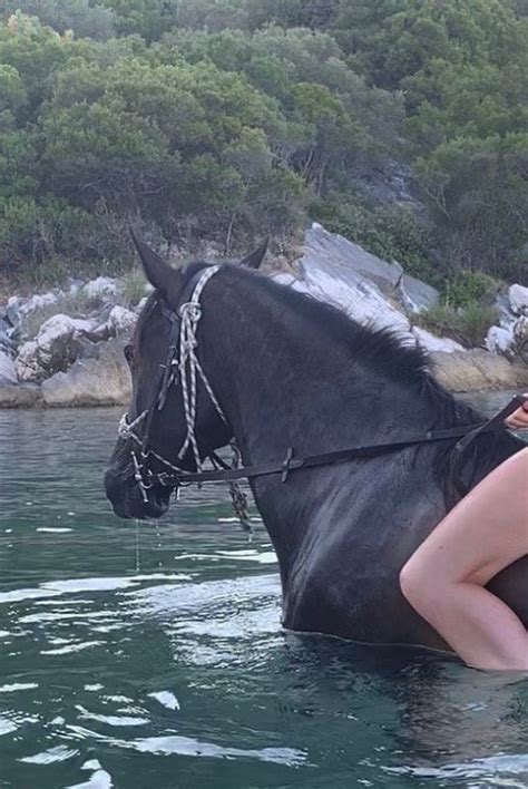 freya allan bikini|The [in]famous horse pics : r/FreyaAllan